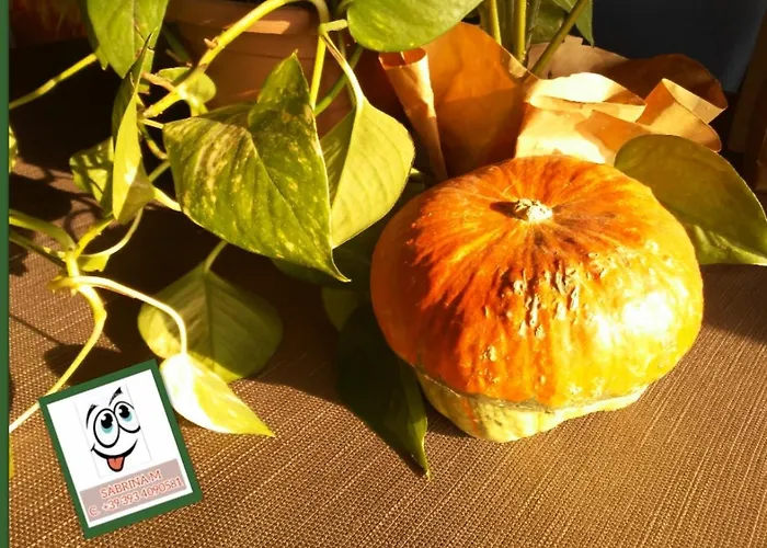 Monolocale Apartament Bardolino