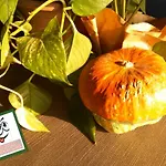 Monolocale Apartment Bardolino