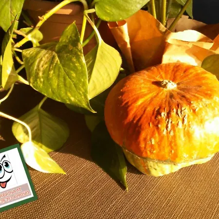 Monolocale Lägenhet Bardolino